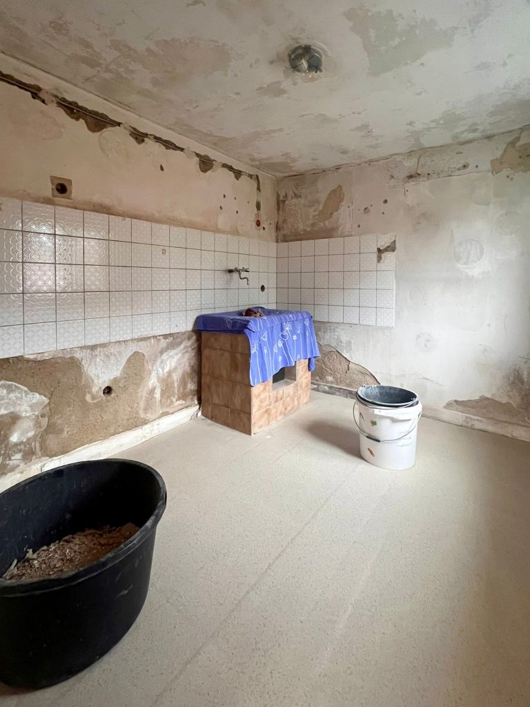 🐾🚧 Die Katzenhilfe baut um! 🚧🐾