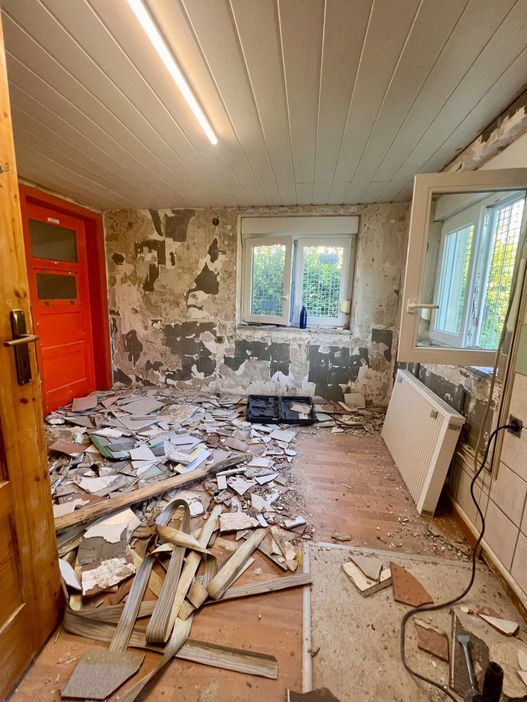🔨🐾 Der Umbau geht weiter – auf ins zweite Zimmer! 🏡